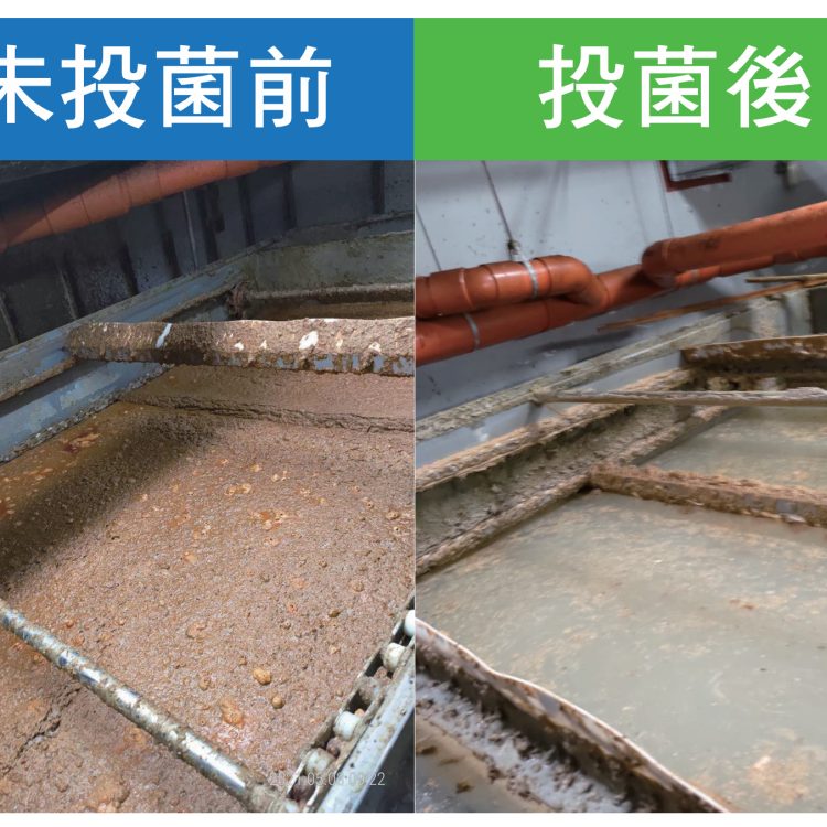 288 微生物分解汙廢水處理劑 投菌前後 Effect of 288 Microbial Wastewater Treatment Agent Before and After Inoculation